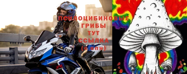 мяу мяу мука Арсеньев
