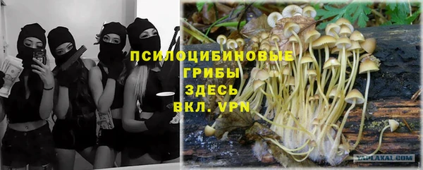 мяу мяу мука Арсеньев
