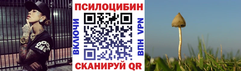Псилоцибиновые грибы Psilocybe  Чистополь 
